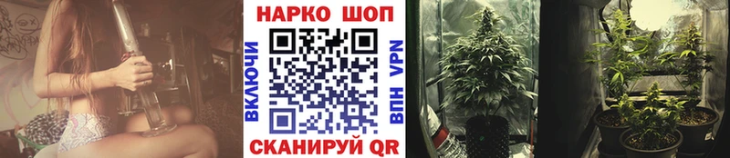 Меф Шарья