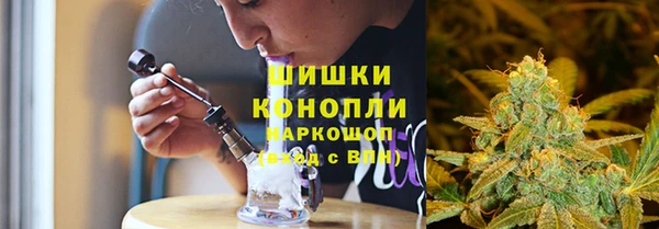 хмурый Арсеньев