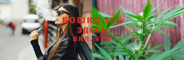 хмурый Арсеньев
