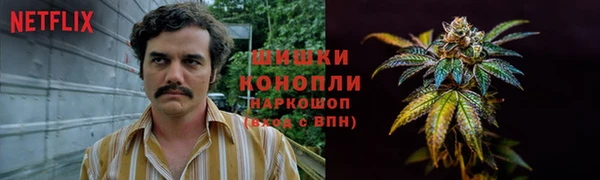 спиды Армянск