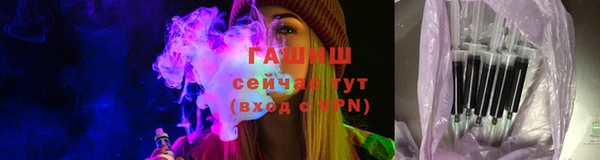 хмурый Арсеньев