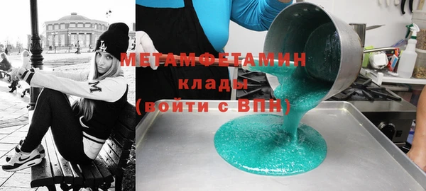 прущие грибы Новозыбков