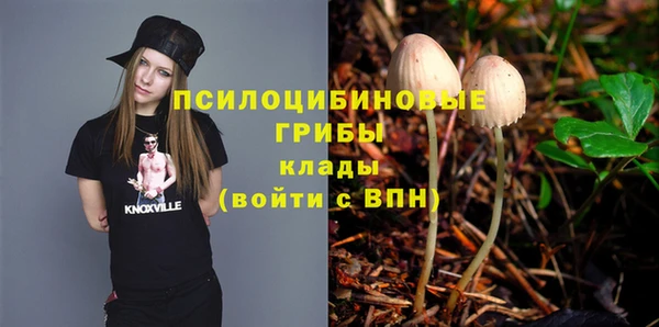 спиды Армянск