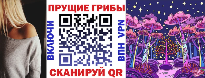 Псилоцибиновые грибы Psilocybe  купить наркотик  Шарья 